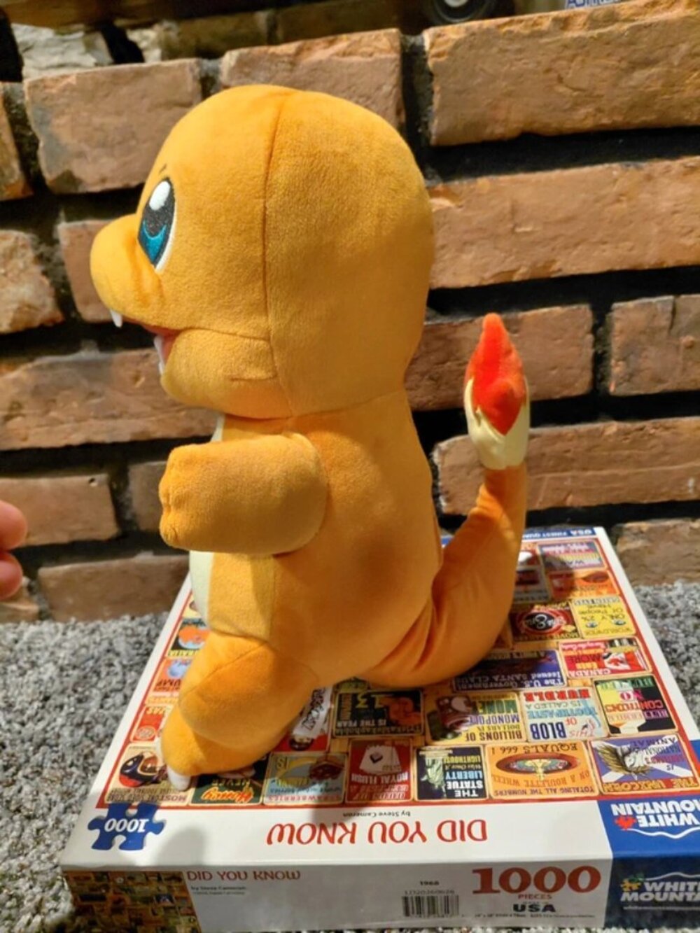 Charmander - Picture 5 of 5